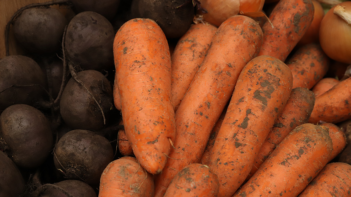 Народный календарь. Какие овощи нужно сажать 1 мая