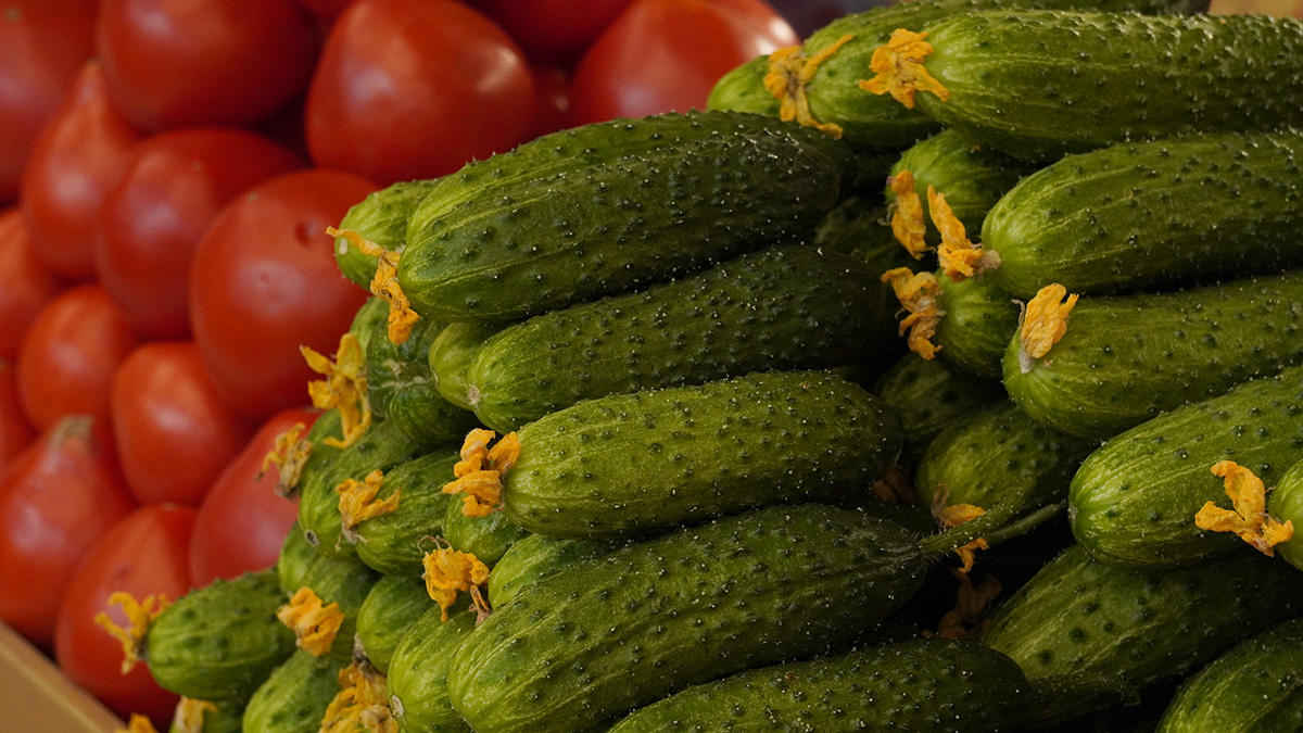 «Перестают расти овощи»: синоптик Ильин рассказал о последствиях холодов в Москве