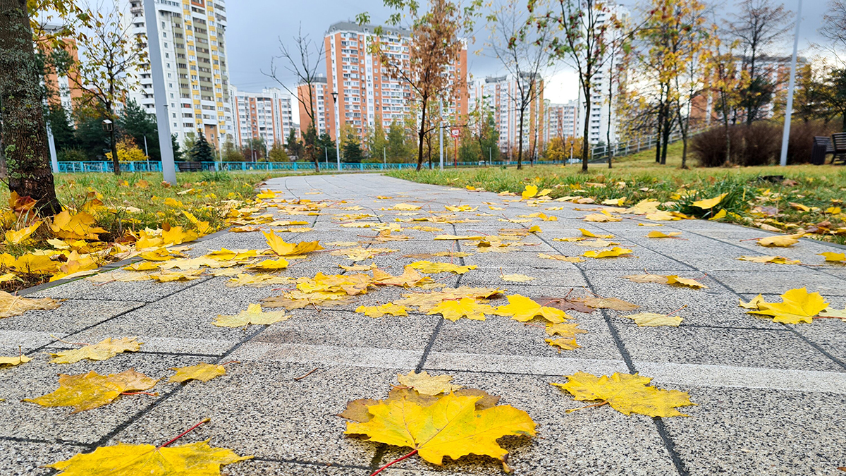 Потепление до 10 градусов придет в столицу в понедельник