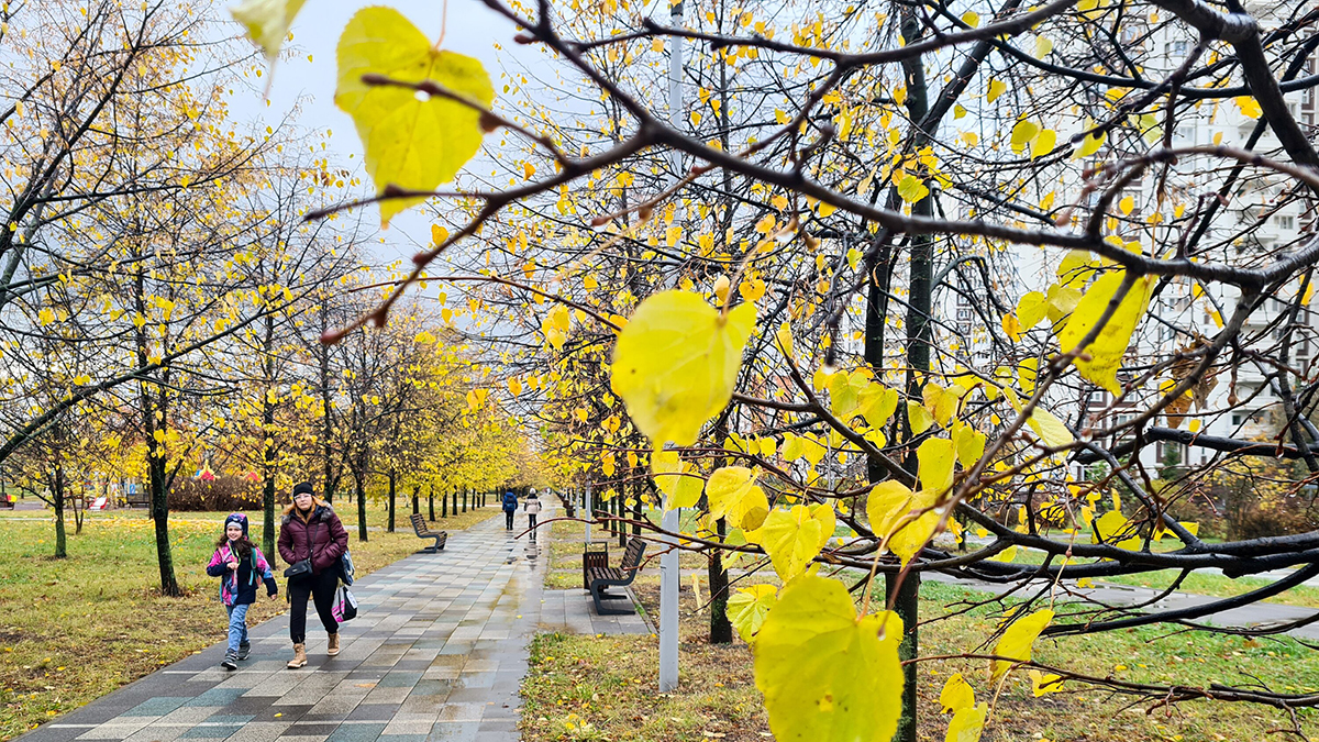 Волна тепла: как долго продержится хорошая погода в Москве