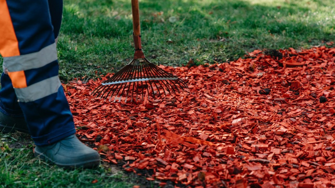 Специалисты начали готовить столичные цветники к зимним холодам