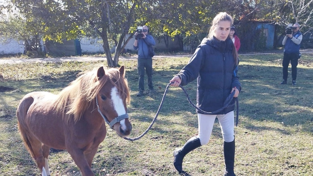 Спортсменка специализированной детско-юношеской школы олимпийского резерва «Локомотив» в ДНР Ева Несина выгуливает пони Томбоя после долгой поездки в Макеевку из Челябинской области