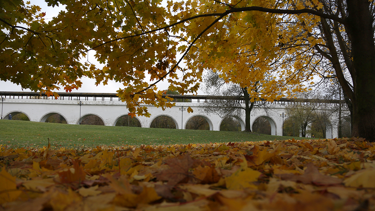 Синоптики спрогнозировали до 13 градусов тепла в Москве 1 ноября