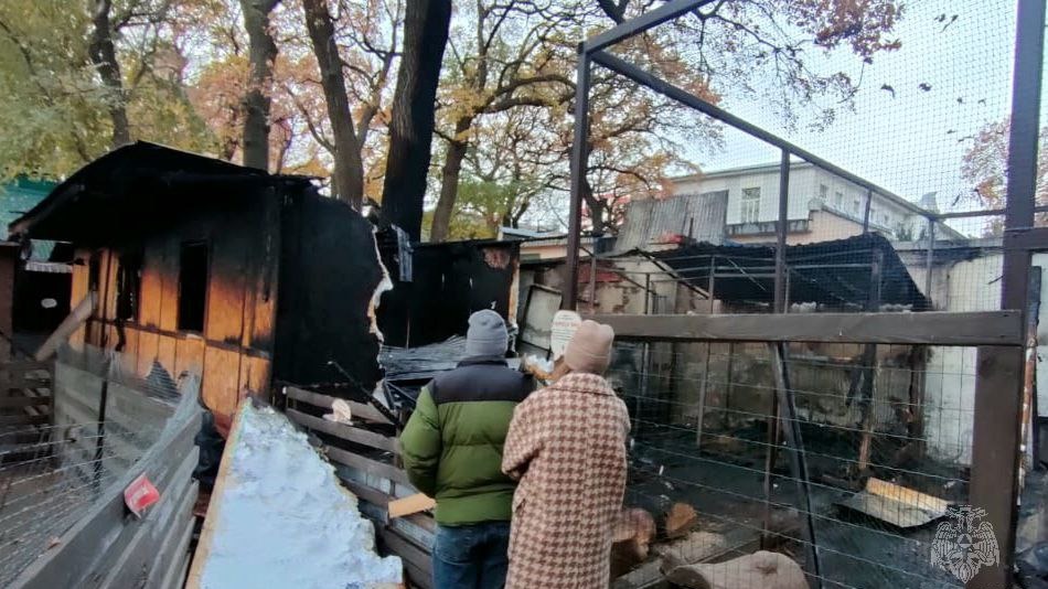 Более 40 животных погибли при пожаре в зоопарке Саратова