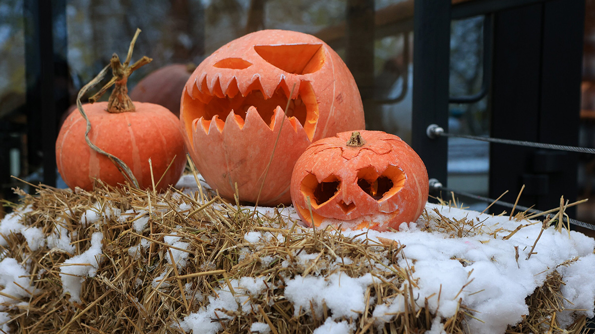 Депутат Свинцов: Хэллоуин нужно адаптировать под Россию