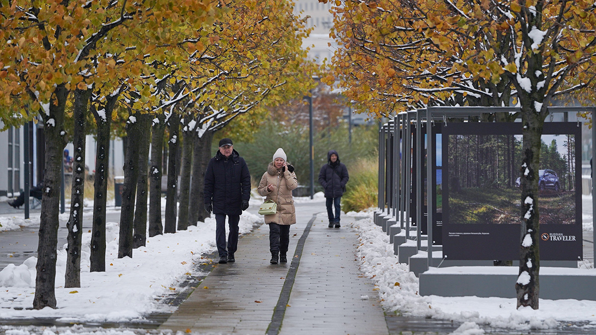 Вильфанд предупредил москвичей о похолодании к середине ноября