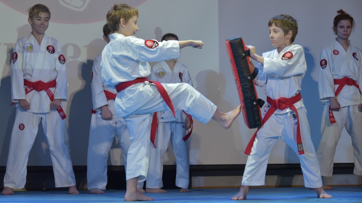 Воспитанники студии карате «Тигричи» Тимофей и Тихон Табаковы (слева направо) показывают, чему научились. На сцену фестиваля вышли представители нескольких возрастных групп, которые неоднократно выступали на различных спортивных мероприятиях, в том числе и участники проекта «Московское долголетие»