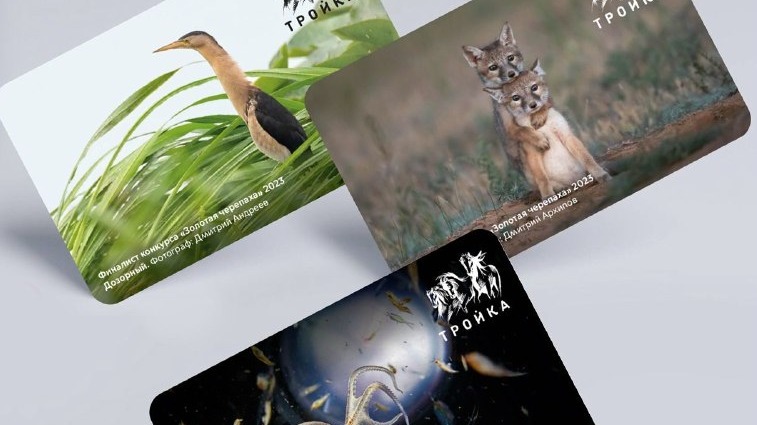 Дептранс выпустил новые карты «Тройка» с лучшими фото дикой природы