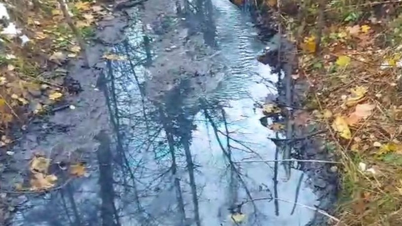 СК возбудил уголовное дело по факту загрязнения родника в Подмосковье