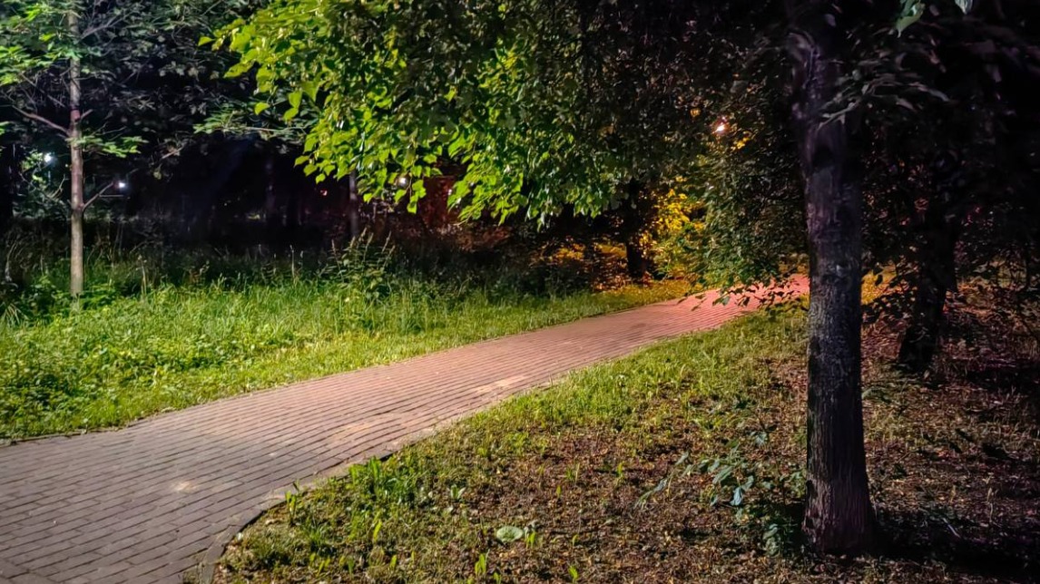 Двое мужчин предстанут перед судом за изнасилование женщины в парке в ЮАО