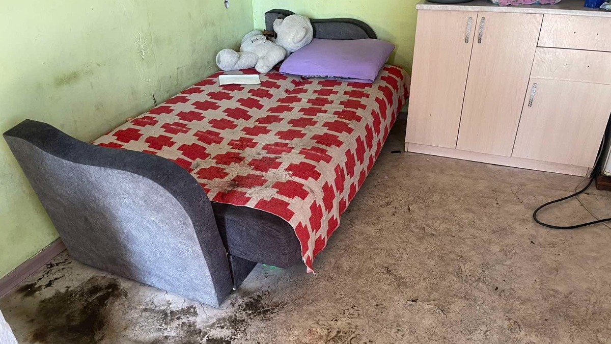 Женщина убила племянницу и напала на родственников в Тыве