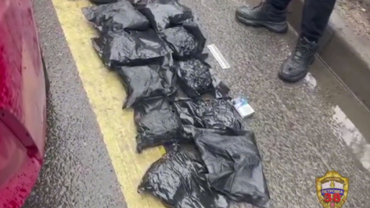 Жителя Петербурга поймали с шестью килограммами марихуаны на юге Москвы