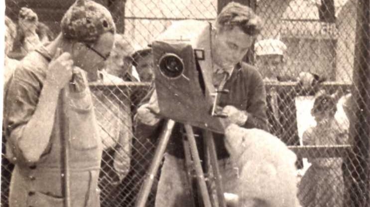 Фомка с кинооператорами на площадке молодняка во время съемок научно-популярного фильма по сценарию Веры Чаплиной, 1939 год