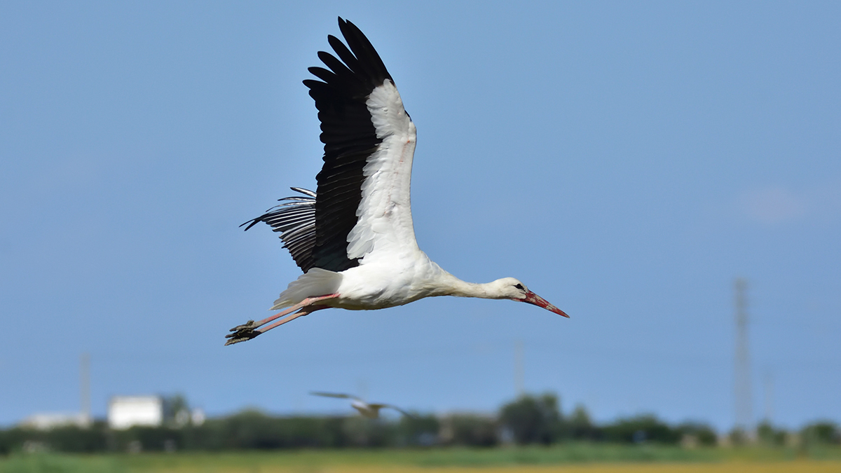Народные приметы на 20 августа