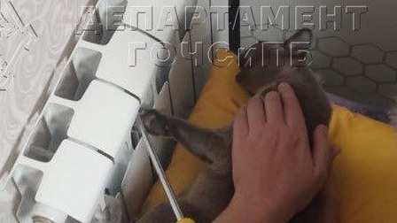 Пожарные спасли котенка, застрявшего в батарее на юге столицы