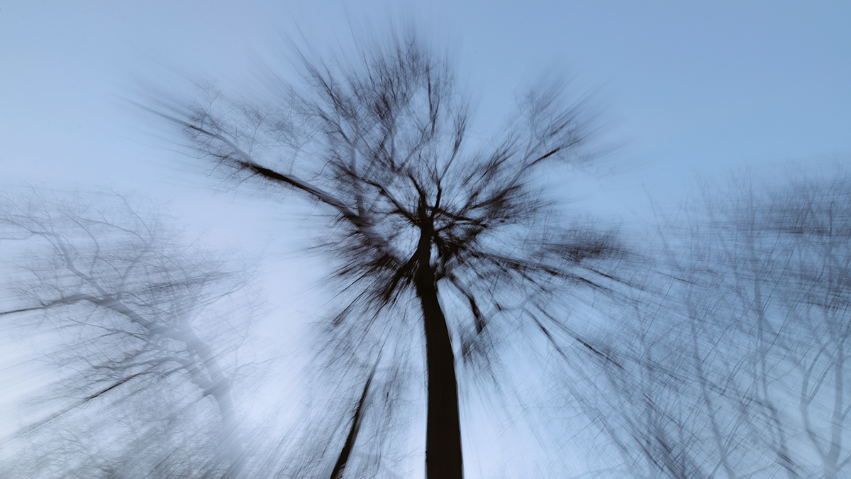 Жительница Новосибирска заявила, что видела похожую на Усольцевых пару