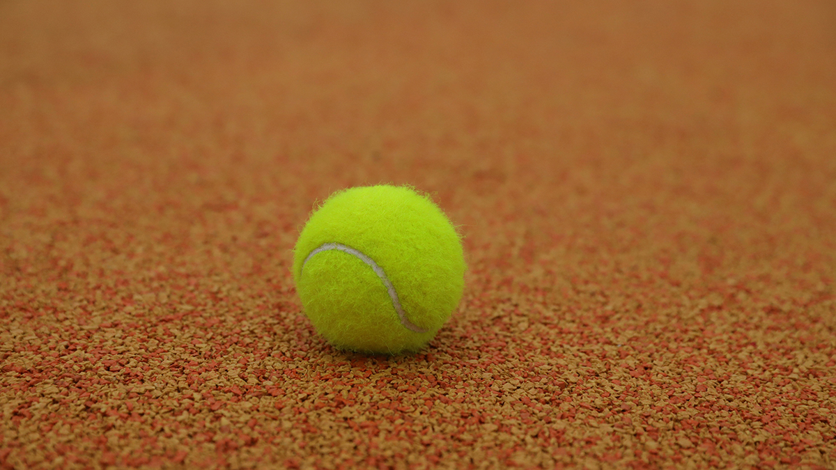 Канадский теннисист на русском языке поругался с болельщиком во время игры