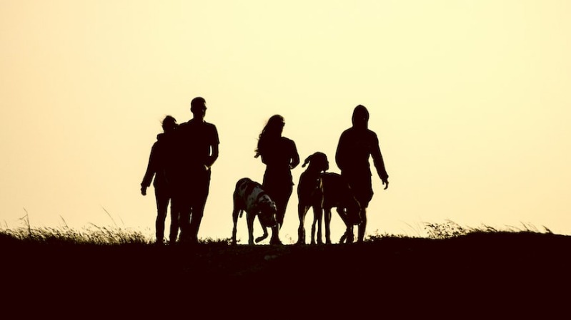 В награду за спасенные жизни