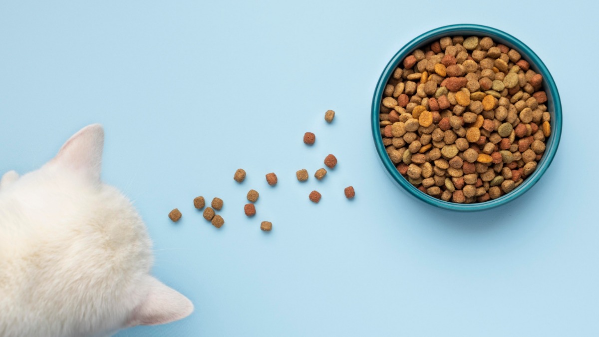 Черная пятница: что покупали россияне на главной распродаже года