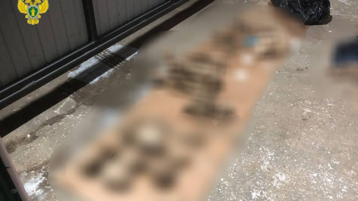 Появились подробности обнаружения скелета под рестораном на западе Москвы