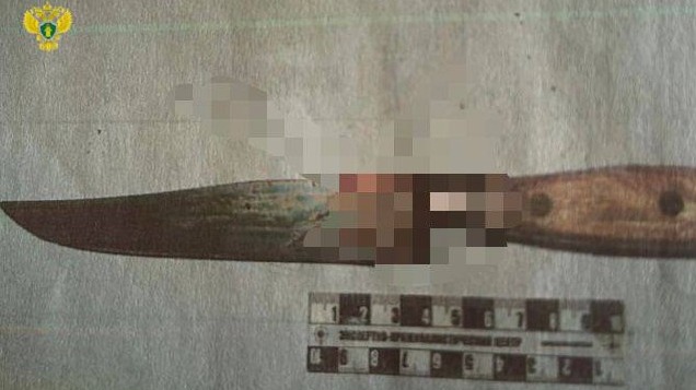 Москвича, ударившего подругу 247 раз ножом, приговорили к 14 годам колонии