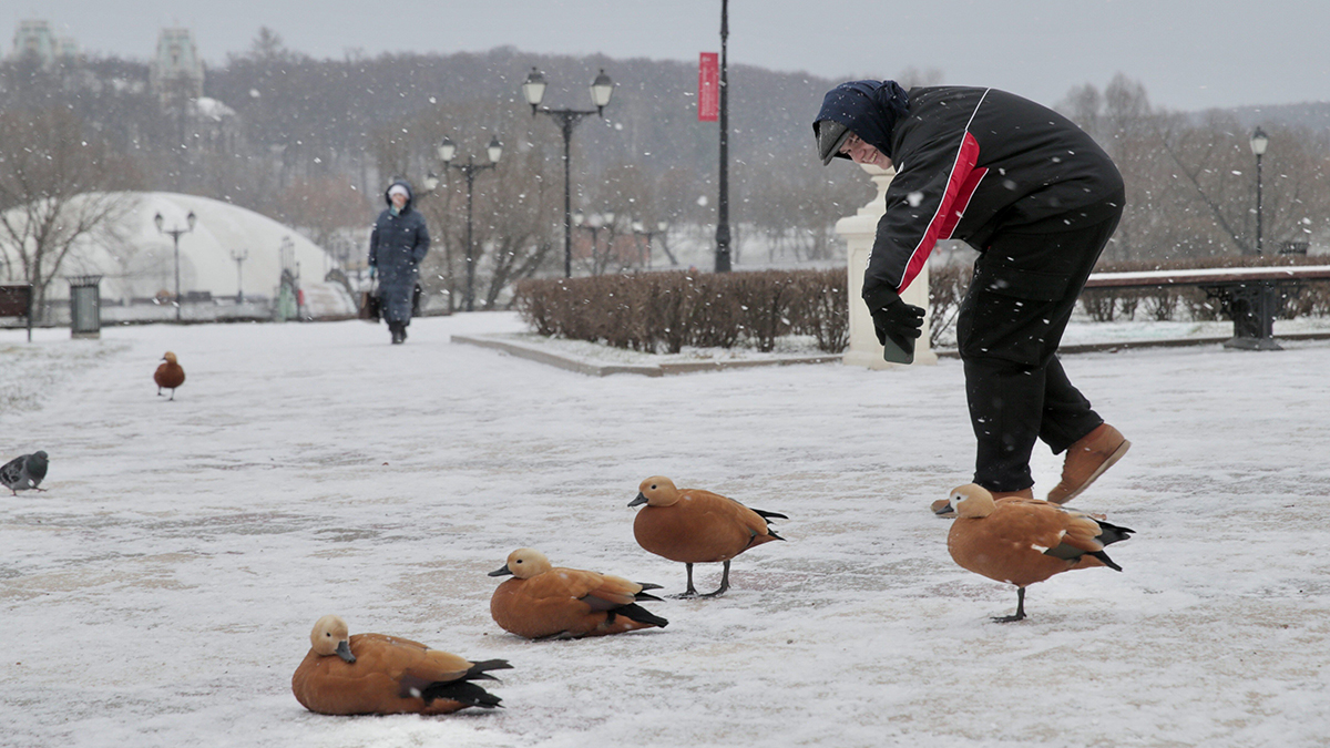 «Облачный вихрь»: синоптик Леус рассказал о погоде в столице 30 ноября