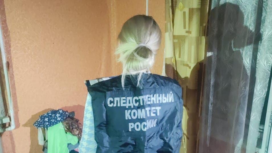 Мать три месяца жила с трупами своих детей в Псковской области