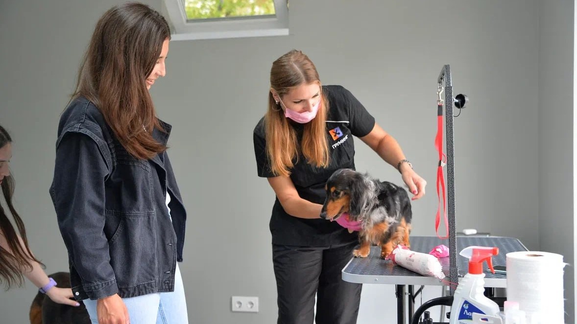 Сергунина: Проект «Питомцы в Москве» стал лауреатом национальной премии