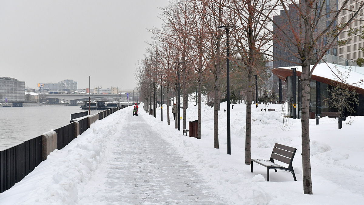 Москомэкспертиза согласовала проект новой набережной Москвы-реки в Рублево-Архангельском