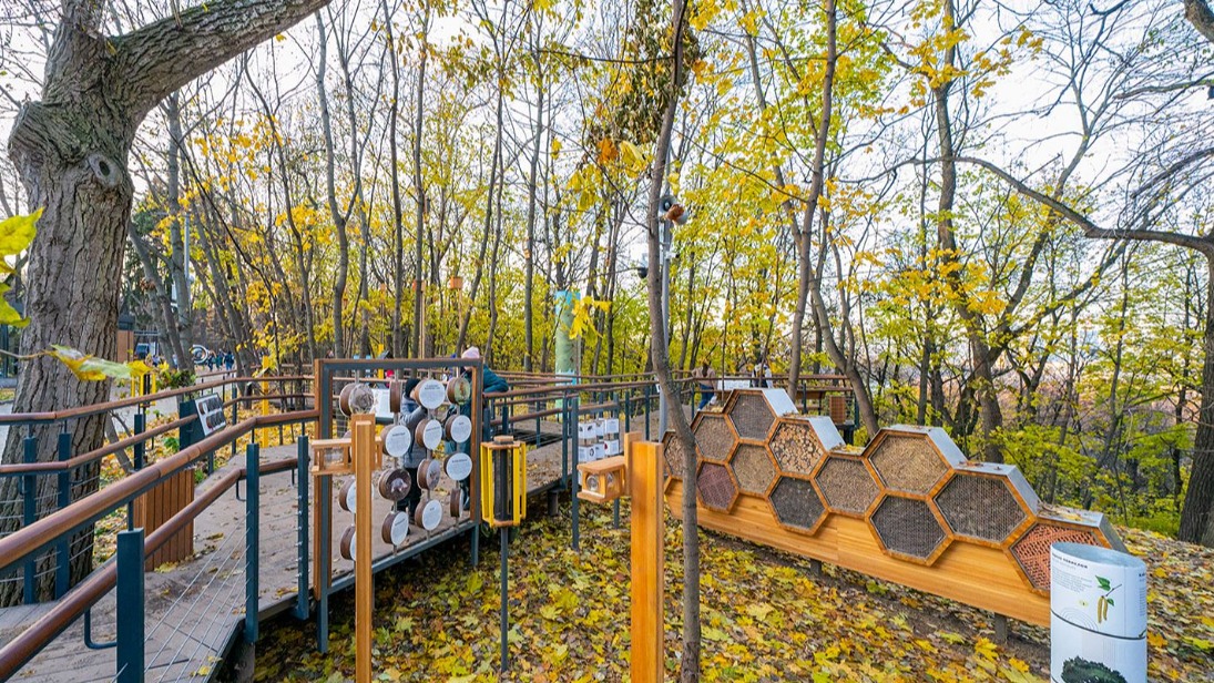 Новая экоплощадка появилась на Аллее спортивной славы