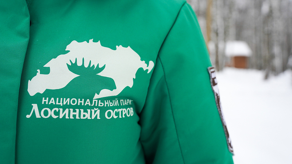 Увлекательное путешествие во времени