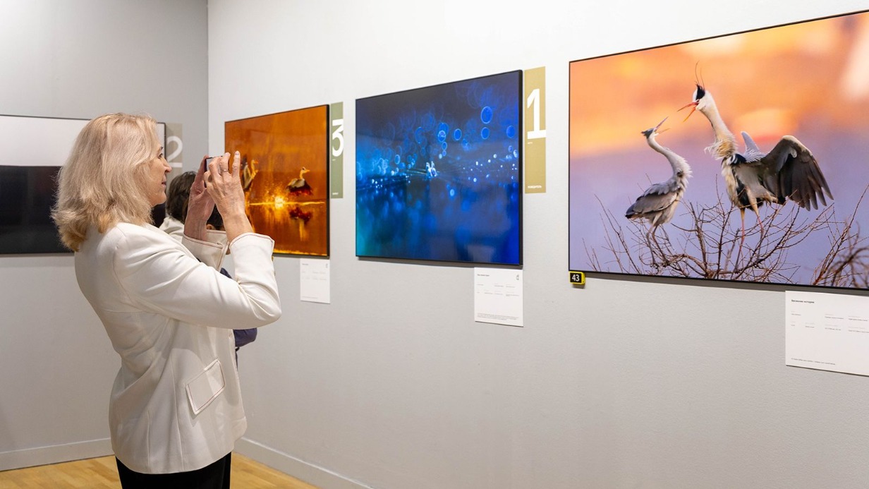 Фестиваль дикой природы «Золотая черепаха» завершился в Москве