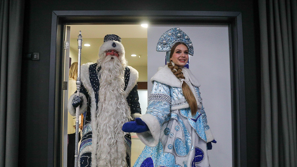 В Совфеде рассказали о требованиях к Деду Морозу и Снегурочке