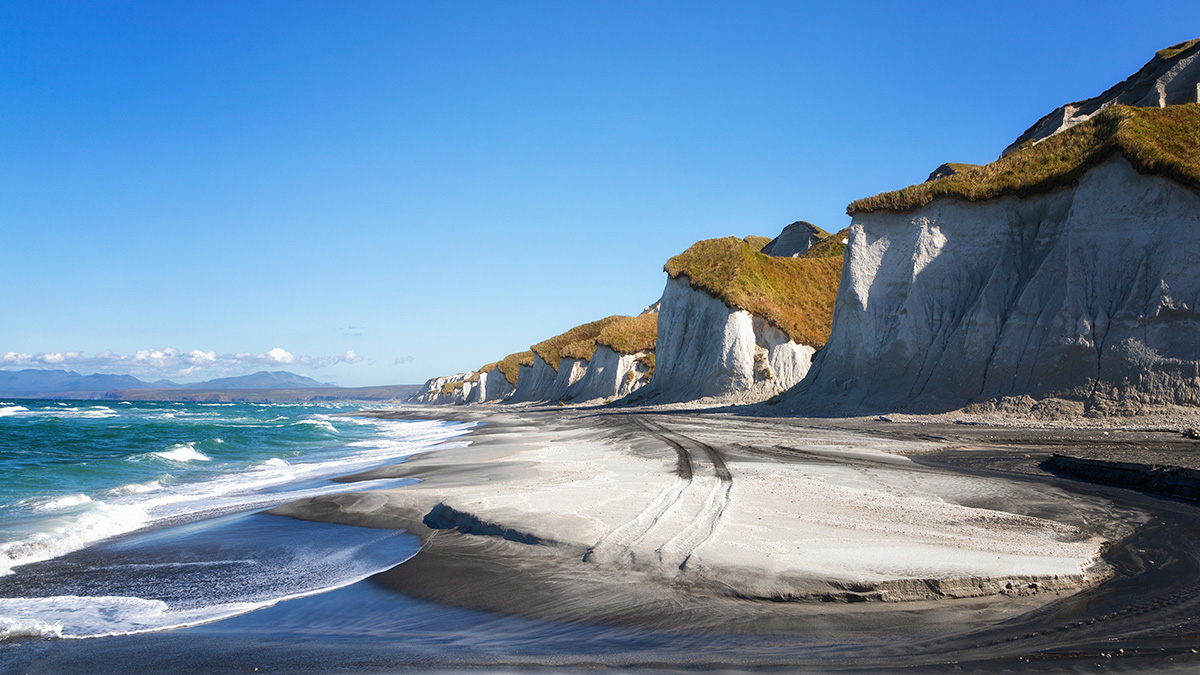 Неведомое существо с гигантской конечностью выбросило на берег Курил