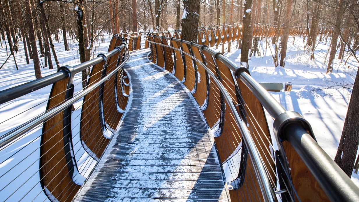 Заммэра Сергунина рассказала о новом прогулочном маршруте по ВДНХ