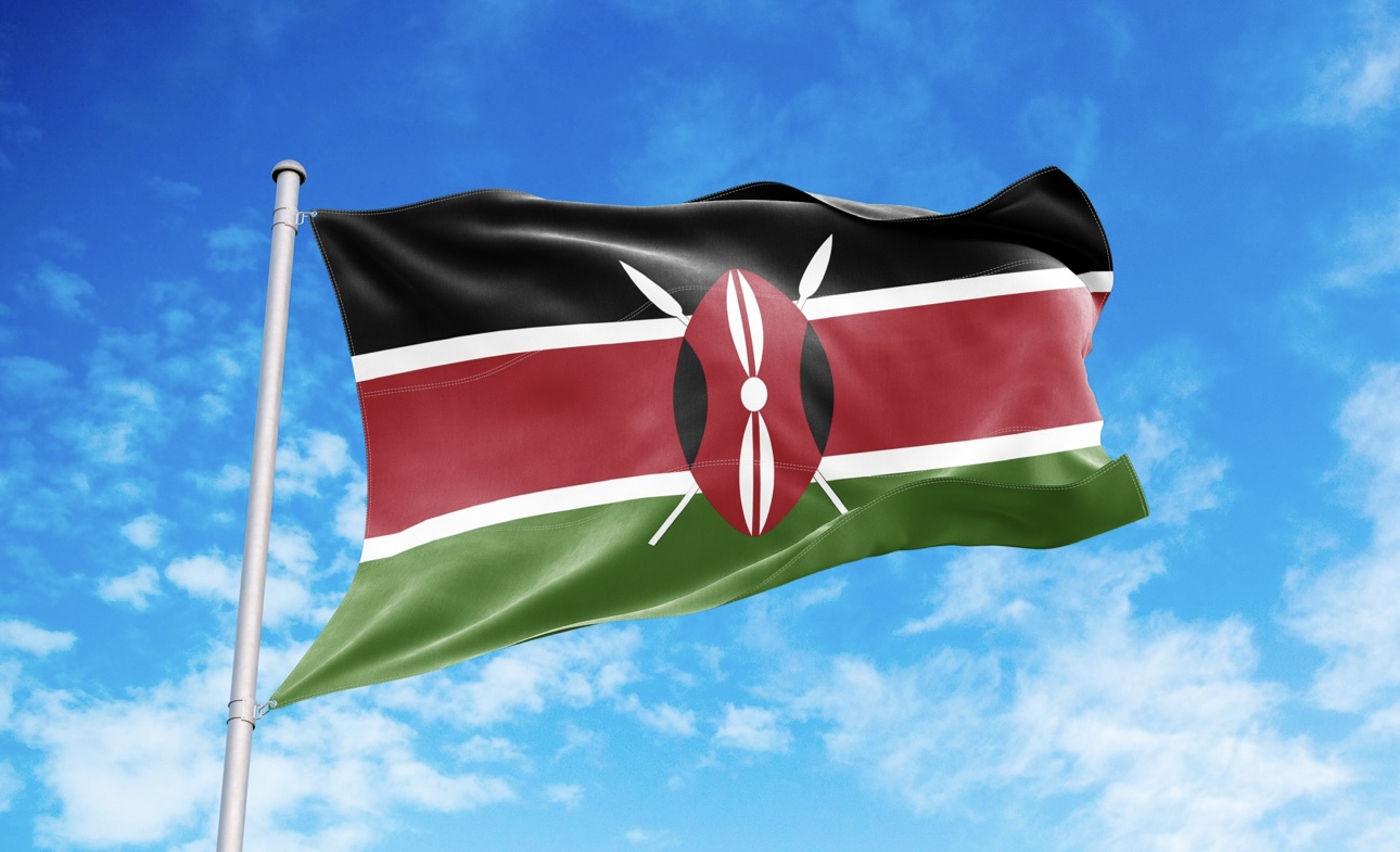 Бездомные проникли в посольство Кении в Москве