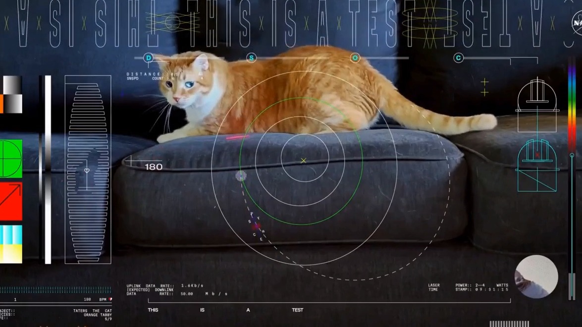 NASA передала видео с рыжим котом Картошечкой с рекордной дистанции на Землю 