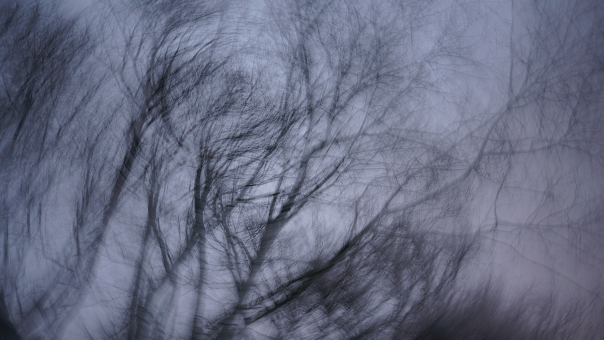 RT: Пропавший с семьей Усольцев должен был отчитаться по расходованию госгрантов