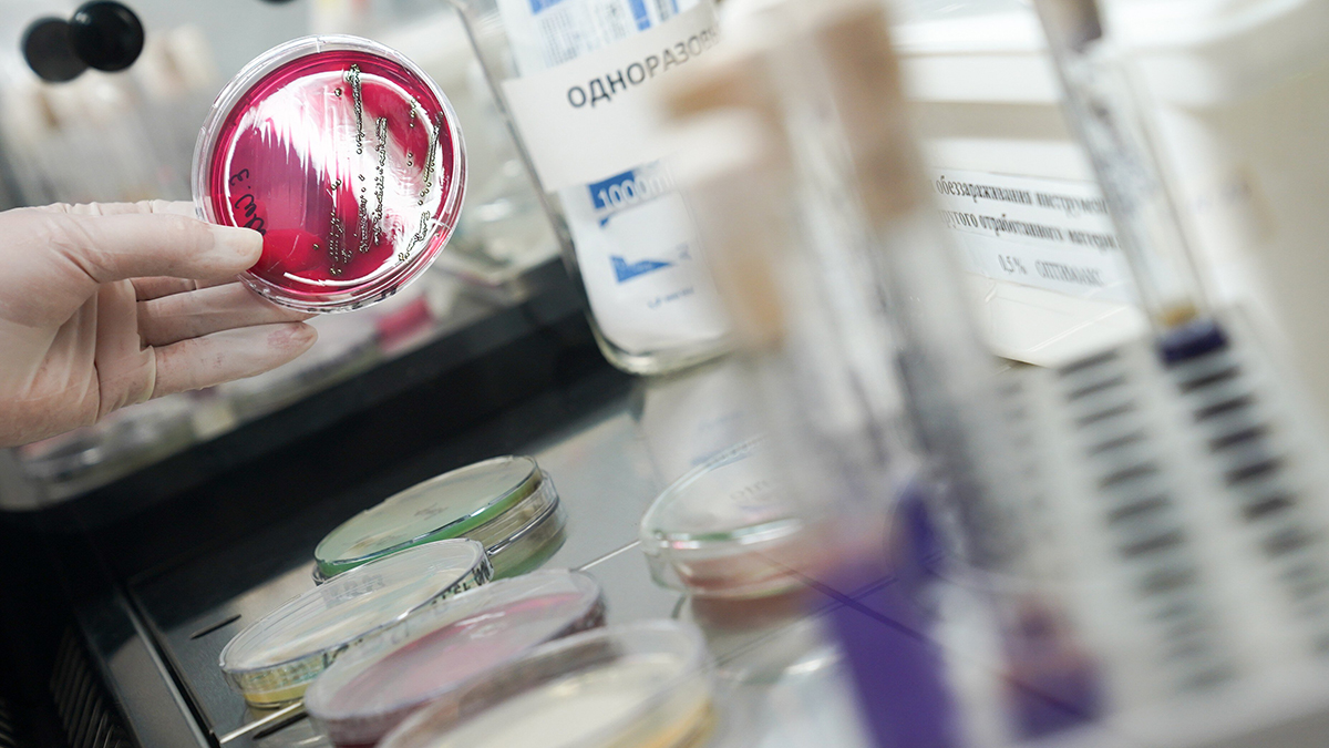 Ученые создали новый анализ для выявления рака поджелудочной на ранних стадиях