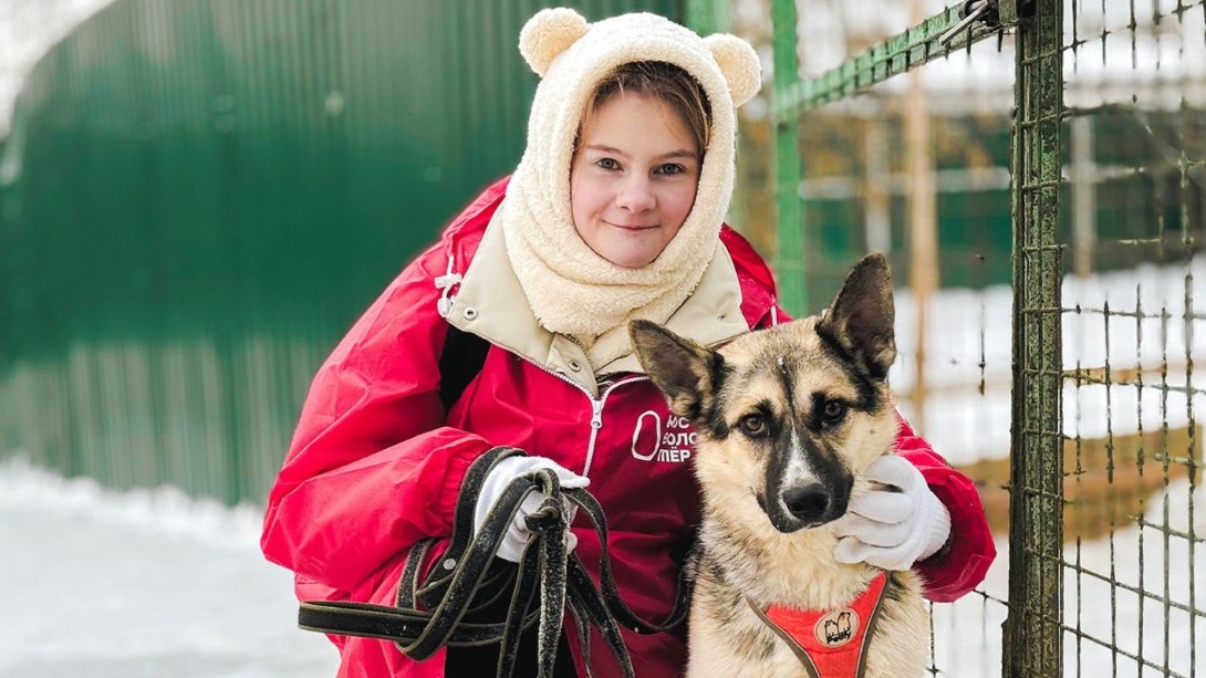 Более 12 тонн корма и лекарств для животных собрали волонтеры Москвы в 2023 году