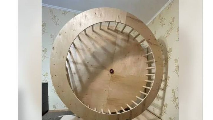 Москвичам предложили купить «колесо для хомяка» человеческих габаритов