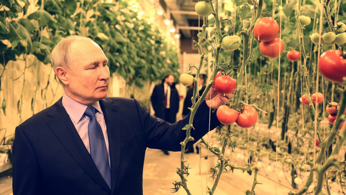 Путин посетил круглогодичный тепличный комплекс на Чукотке