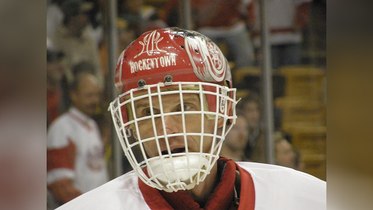 Хоккеист Гашек заявил об угрозах от Дмитрия Медведева