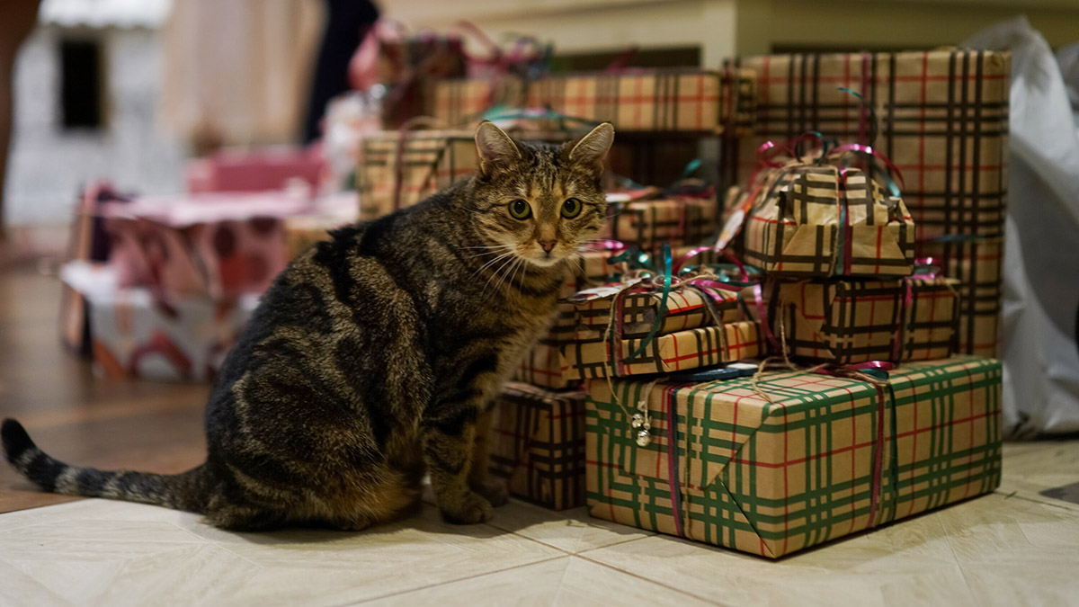 2 января: какой сегодня праздник отмечают