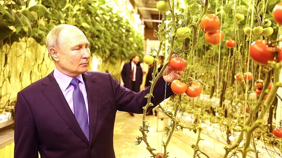 Путин прилетел на Чукотку: цель и итоги визита