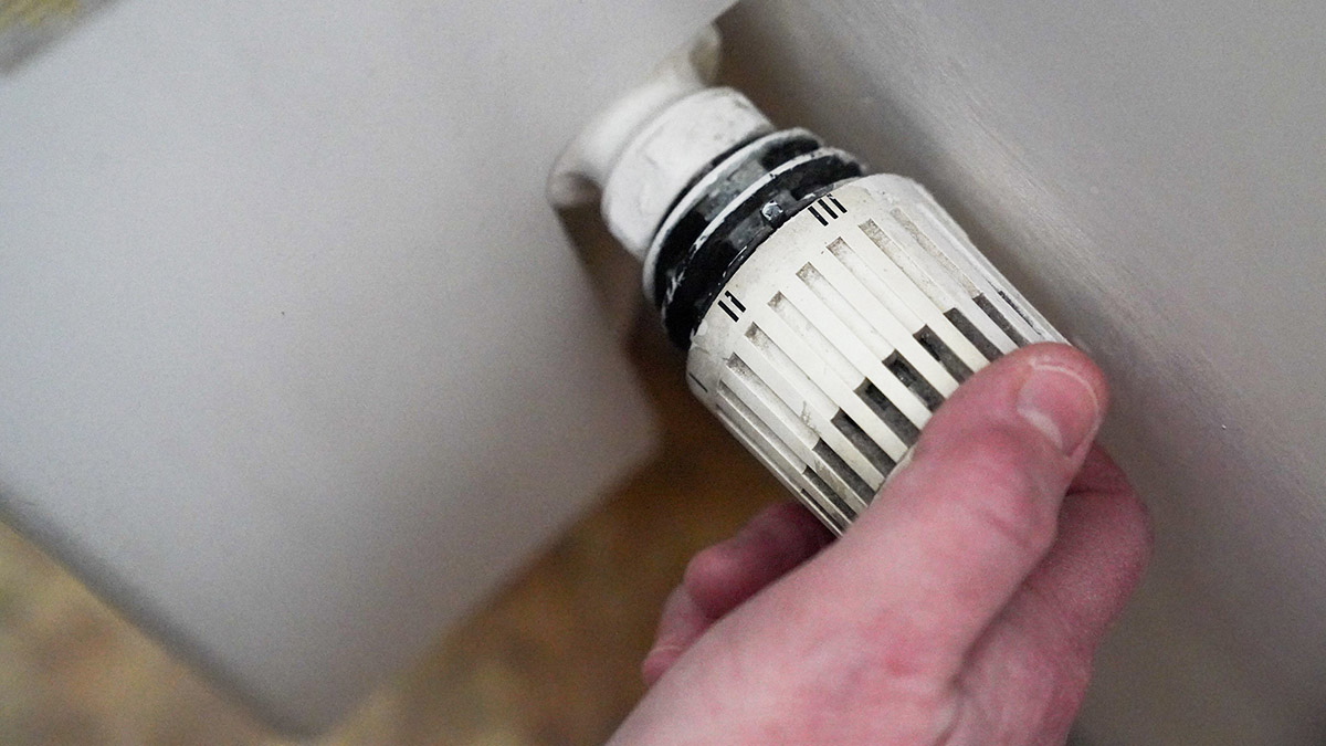 Депутат Разворотнева объяснила изменения в порядке оплаты отопления