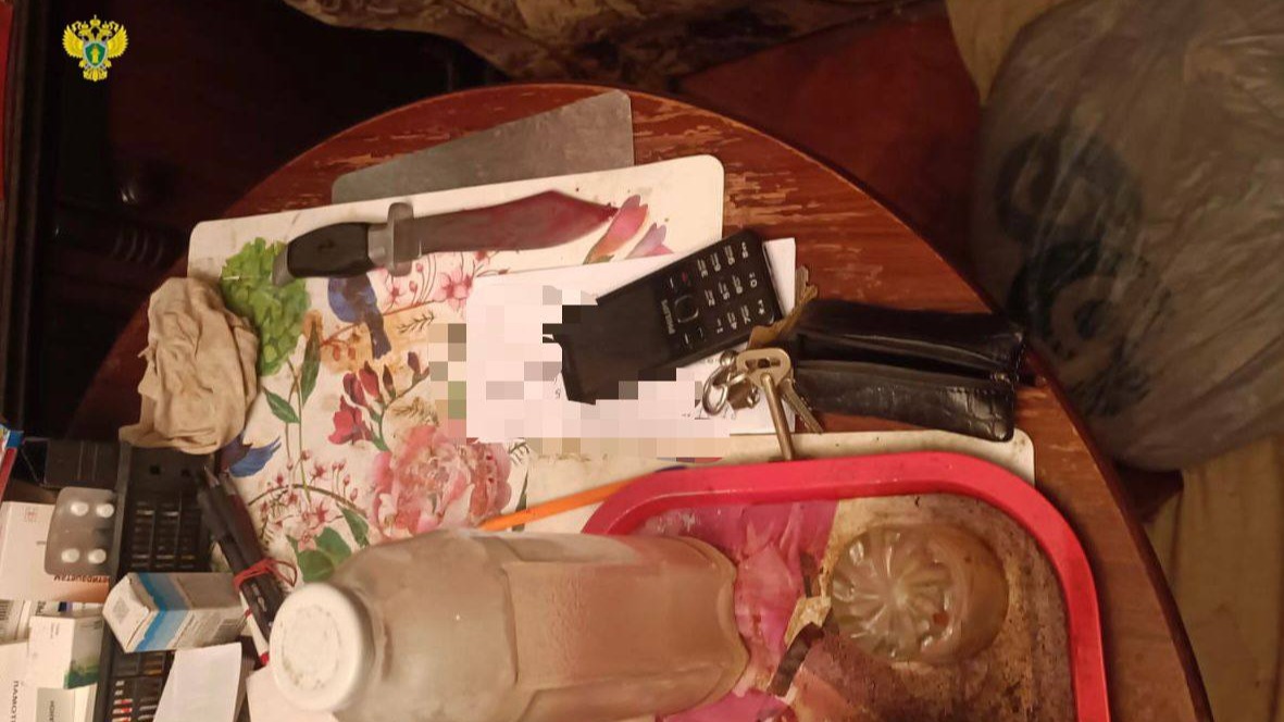 Мужчина зарезал пожилого отца в центре Москвы