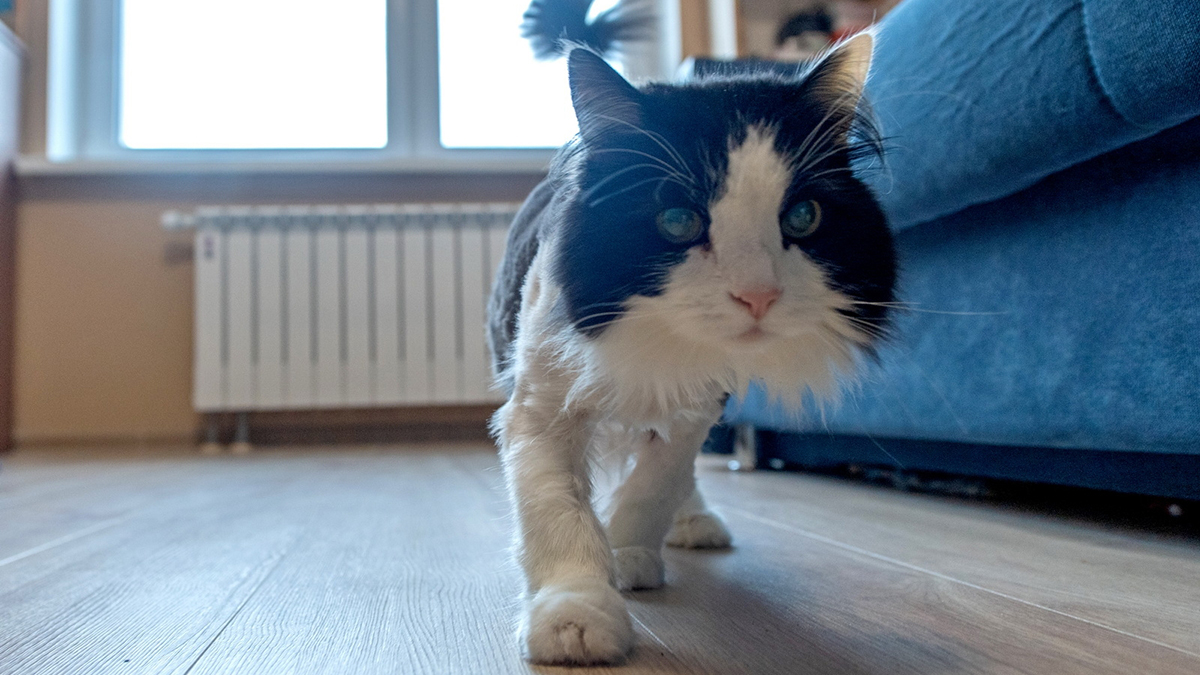 Почему важно поддерживать влажность воздуха дома зимой