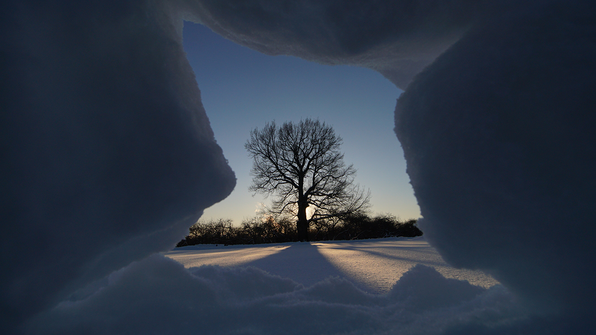 Горная масса обрушилась в Якутии, под завалами находятся два человека