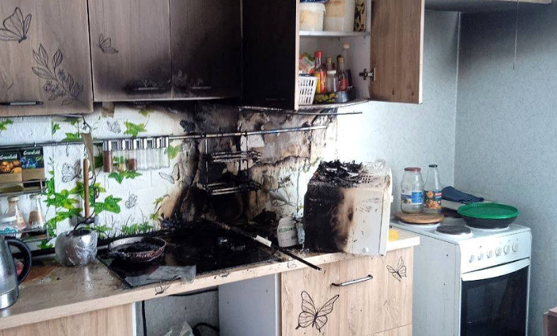 Пять голодных кошек включили плиту и устроили пожар в Уфе